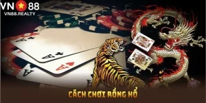 Cách Chơi Rồng Hổ Cơ Bản Từ A - Z Cho Newbie Tại VN88