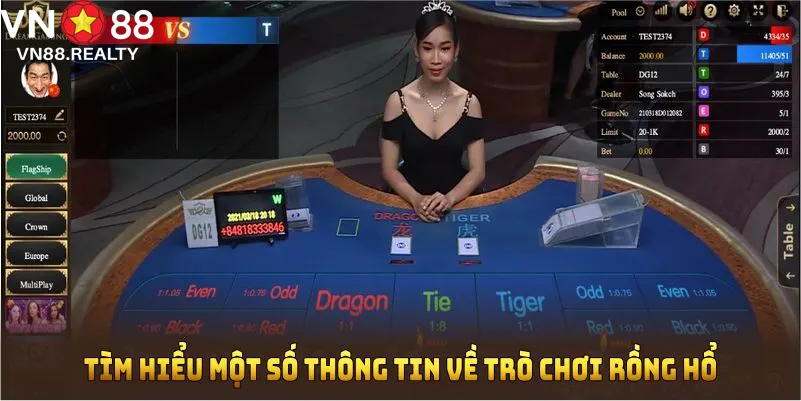 Tìm hiểu một số thông tin về trò chơi rồng hổ