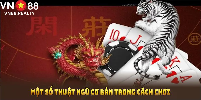 Một số thuật ngữ cơ bản trong cách chơi rồng hổ bạn cần nắm